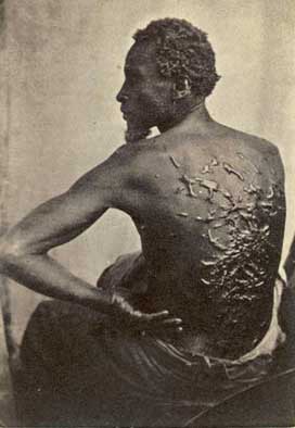 slavescars imagine that